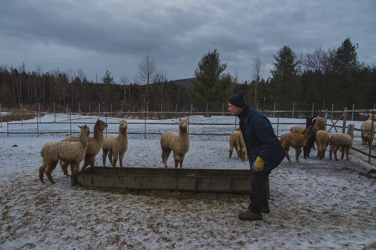 Photograph by Jp Valery in February 2018