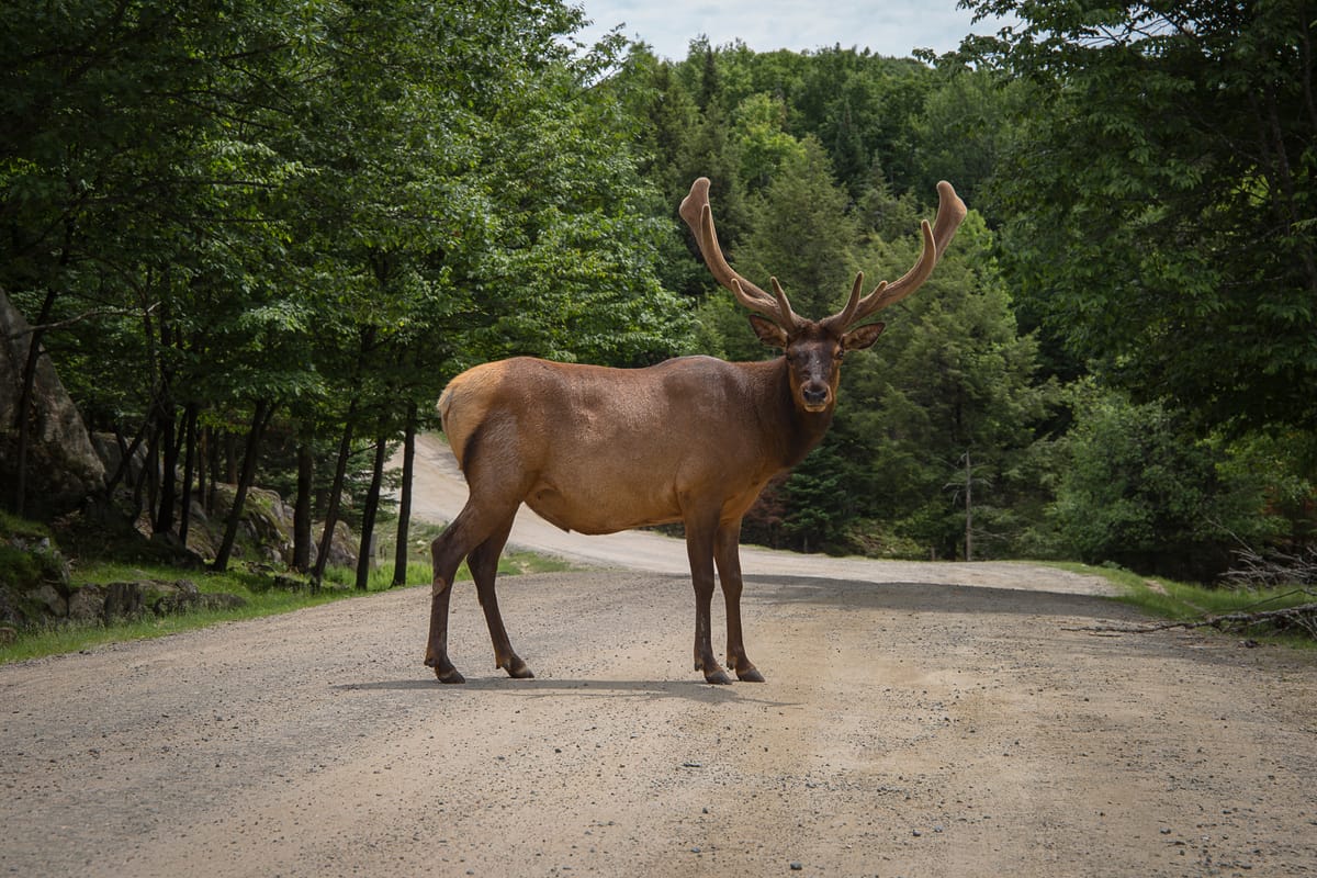 Photograph by Jp Valery in June 2015