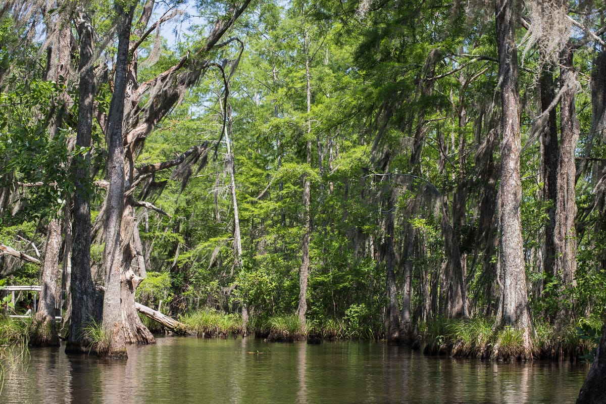 Photograph by Jp Valery in May 2016