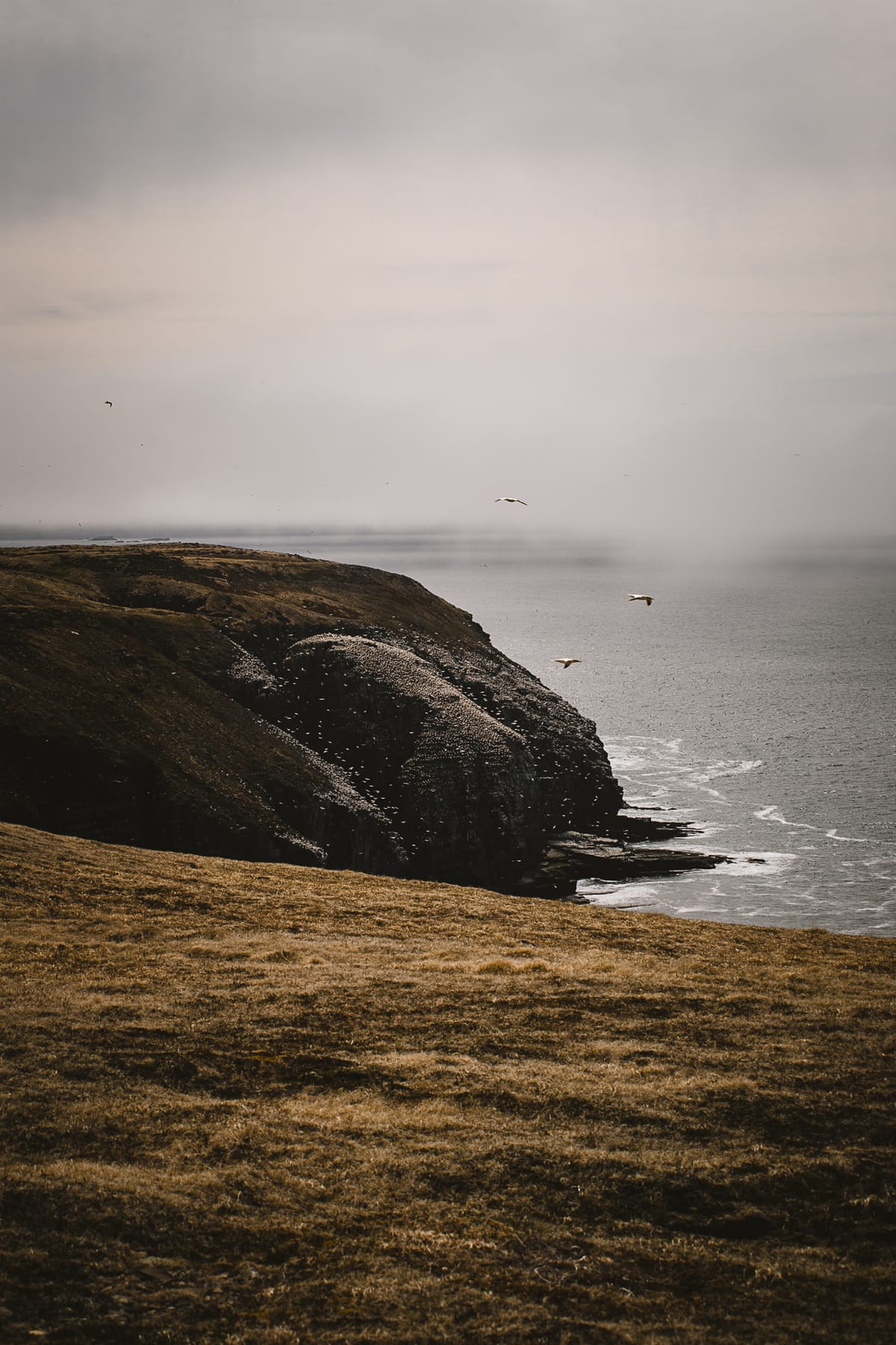 Photograph by Jp Valery