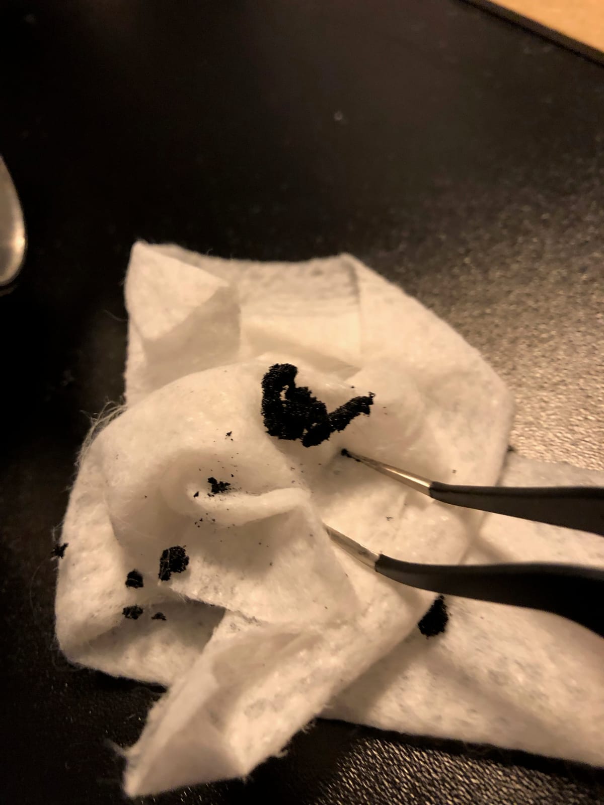 Photograph by Jp Valery in January 2019