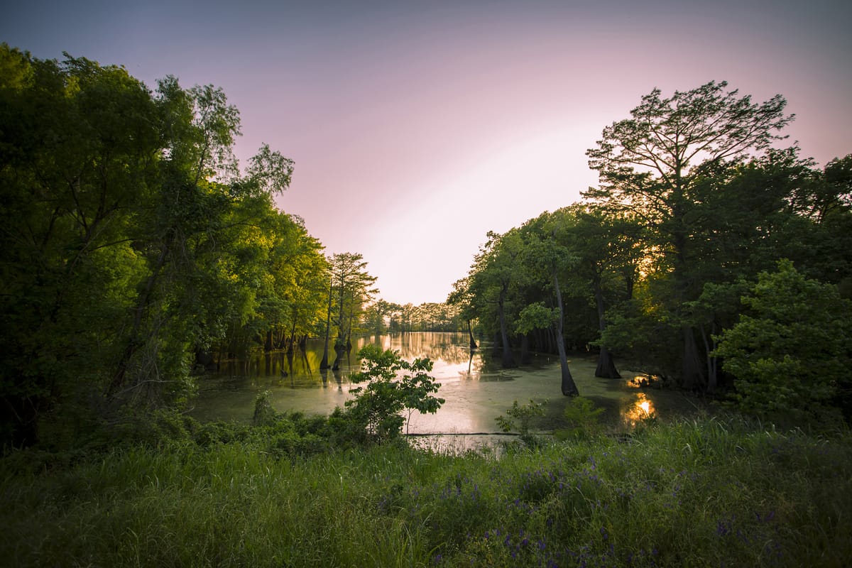 Photograph by Jp Valery in May 2016
