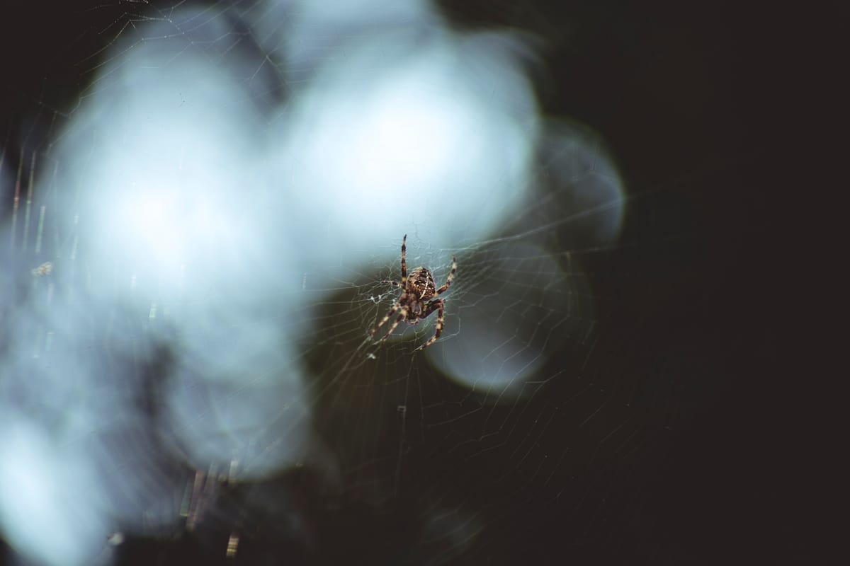 Photograph by Jp Valery in September 2017