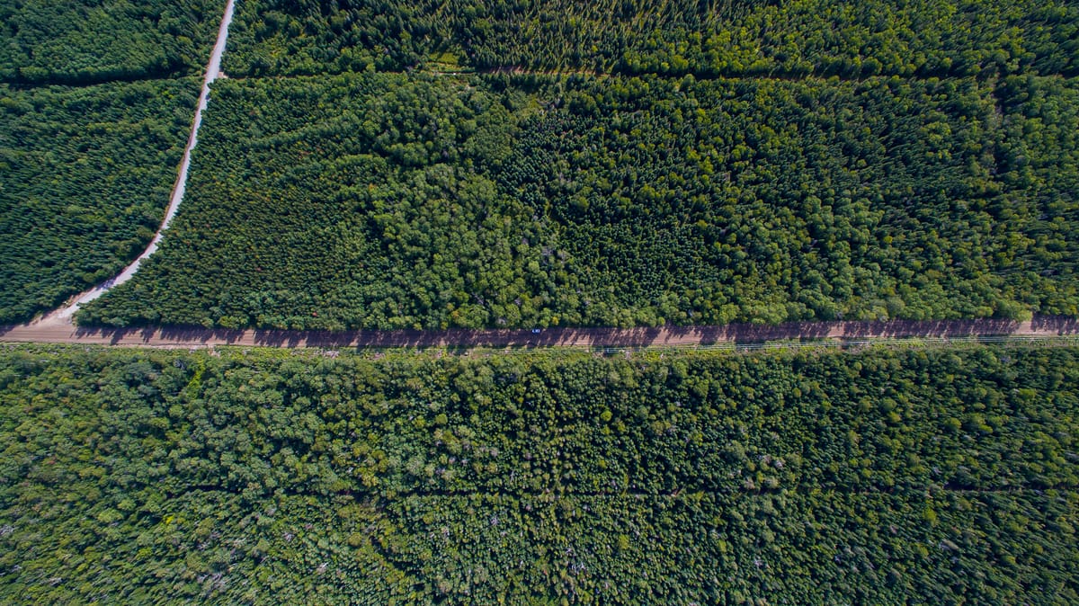 Photograph by Jp Valery in August 2015