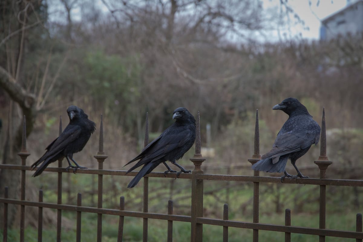 Photograph by Jp Valery in January 2016
