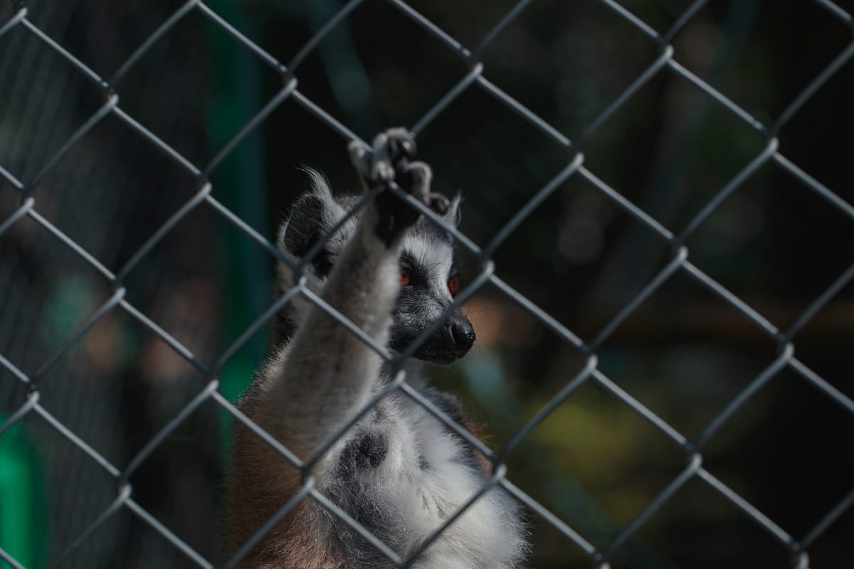 Photograph by Jp Valery in June 2018