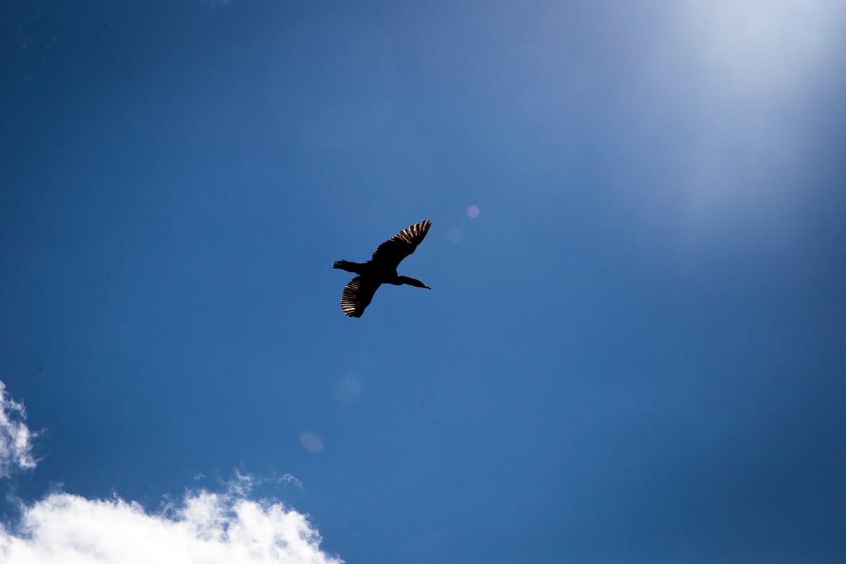 Photograph by Jp Valery in August 2015
