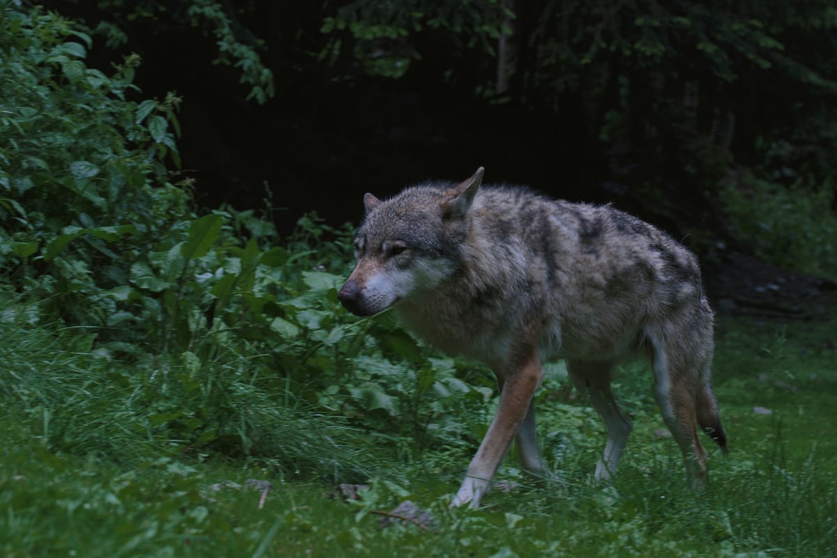 Photograph by Jp Valery in June 2018