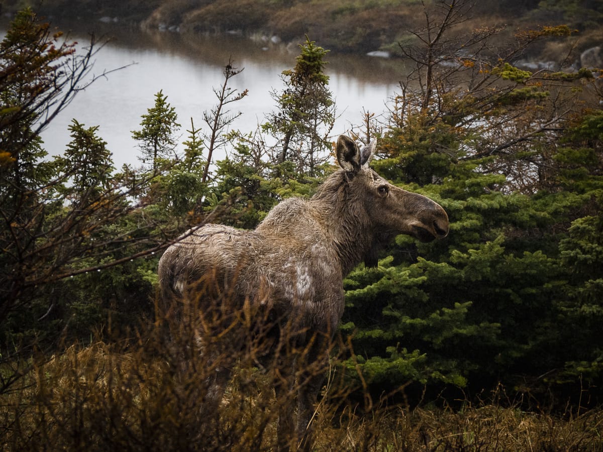 Photograph by Jp Valery