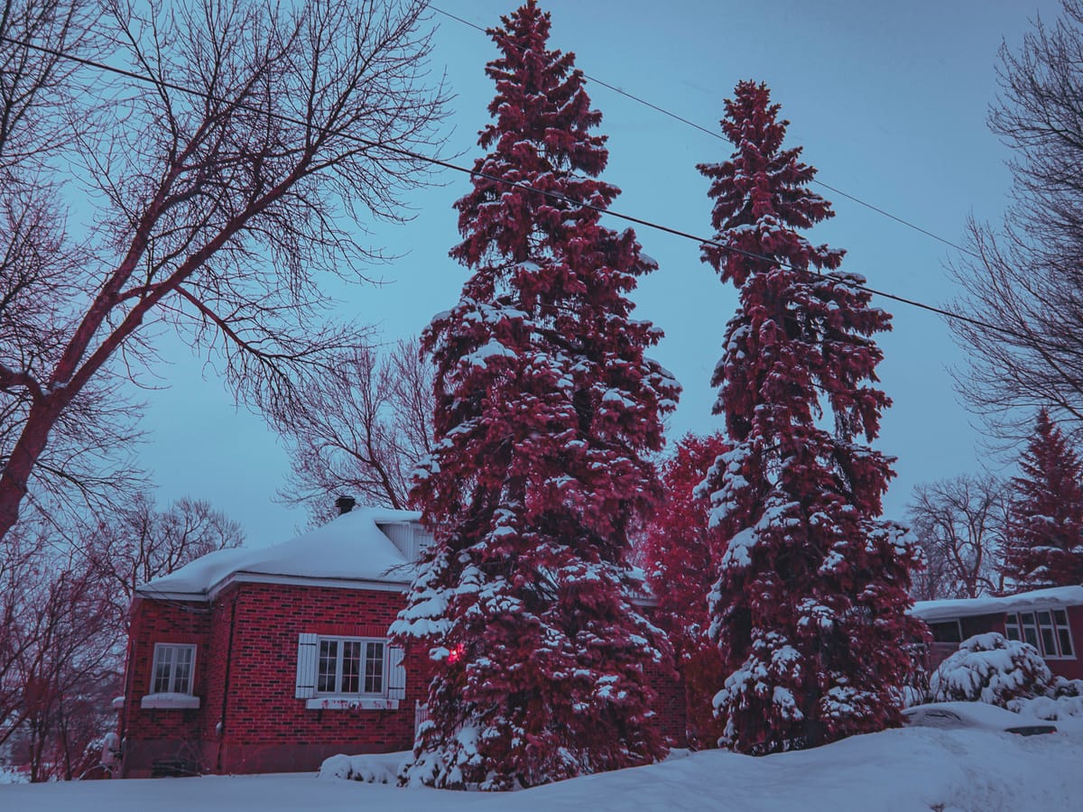Photograph by Jp Valery in February 2018