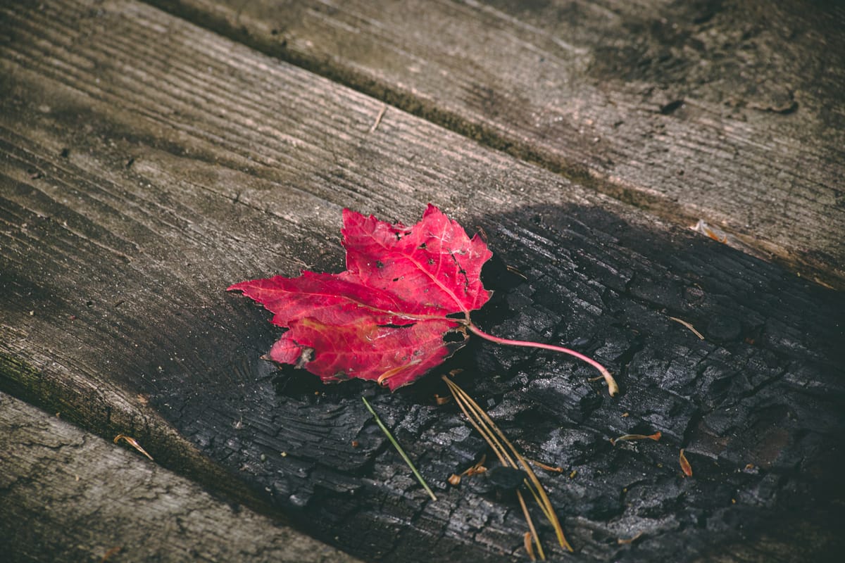 Photograph by Jp Valery in September 2017