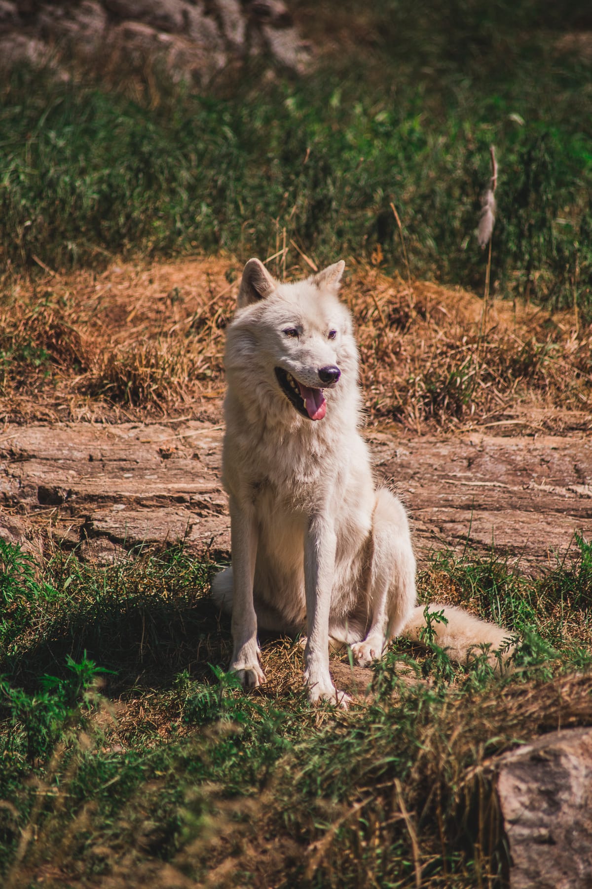 Photograph by Jp Valery in August 2019
