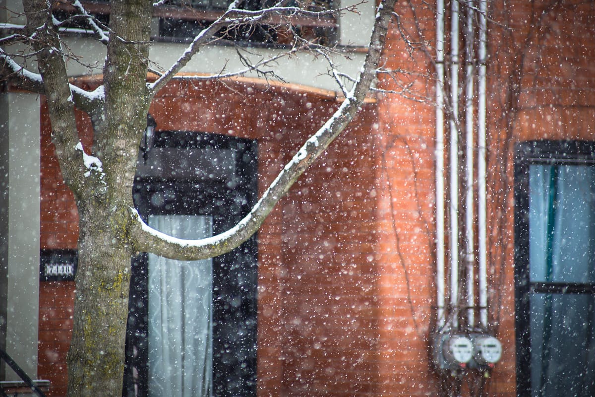 Photograph by Jp Valery in February 2016