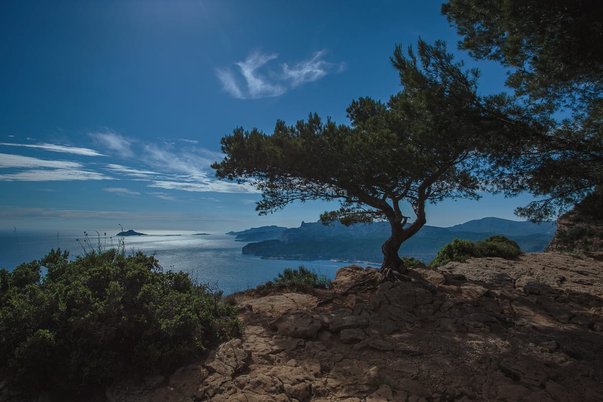 Photograph by Jp Valery in June 2018