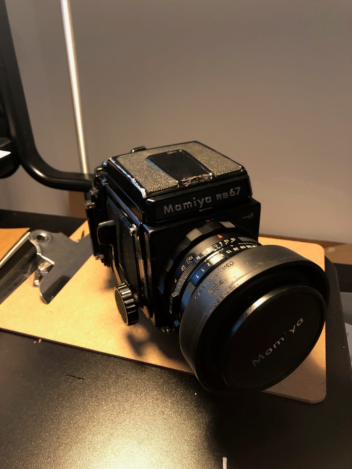 Photograph by Jp Valery in January 2019