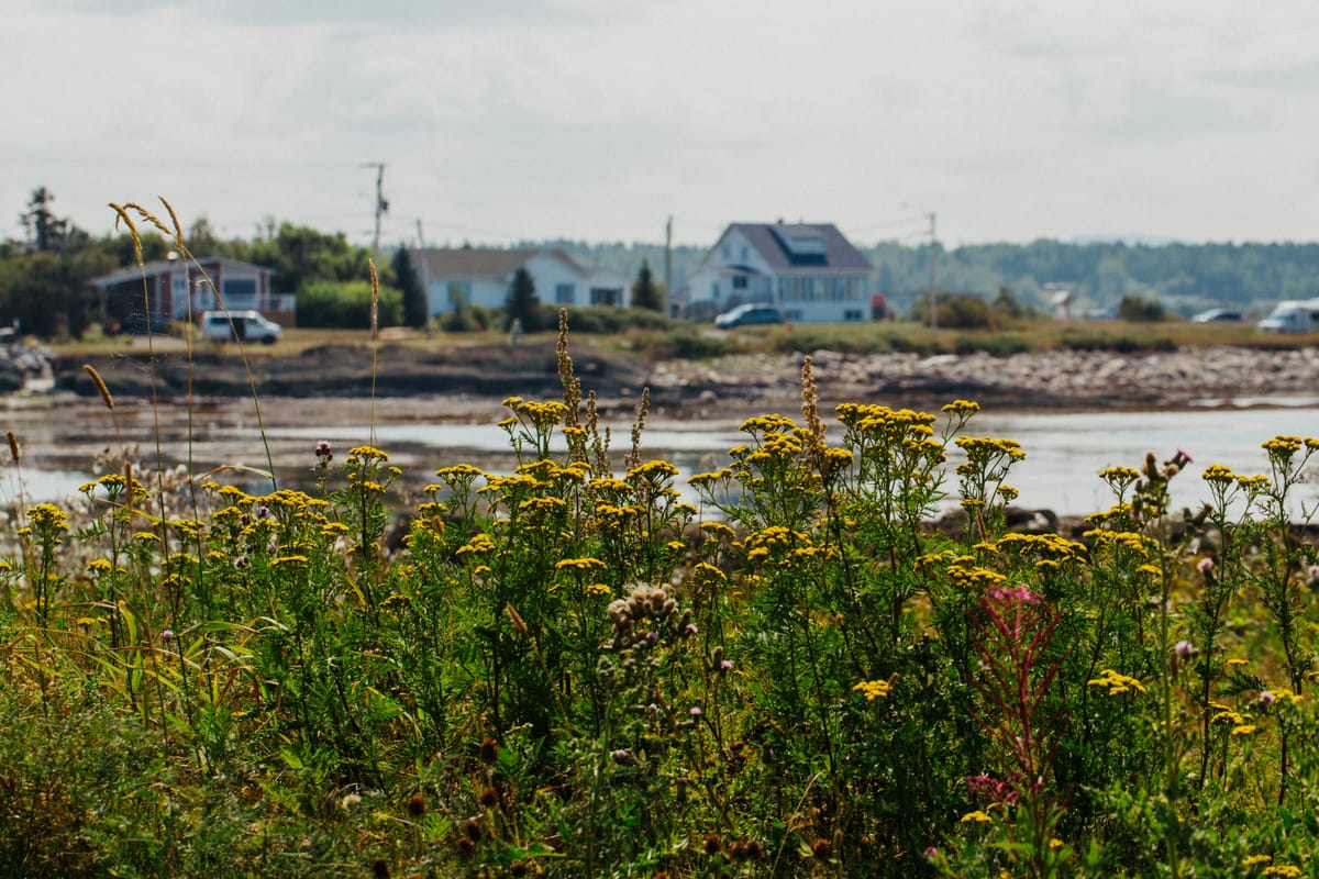 Photograph by Jp Valery in August 2021