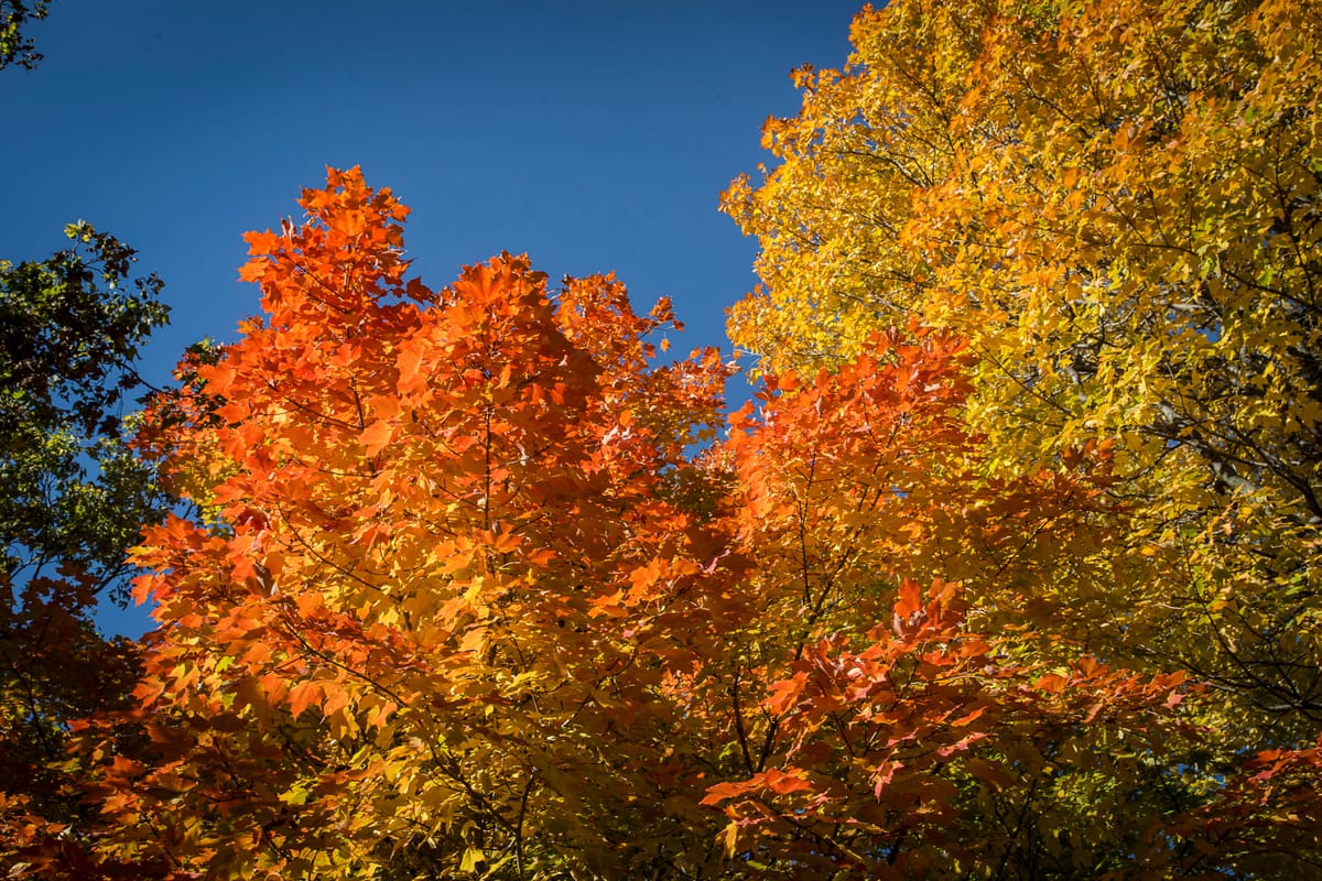 Photograph by Jp Valery in October 2016