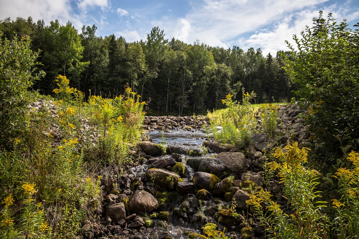 Photograph by Jp Valery in August 2015