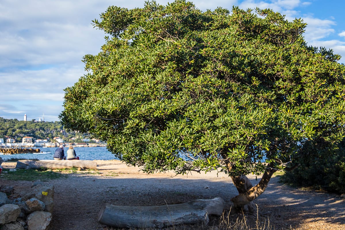 Photograph by Jp Valery in December 2015