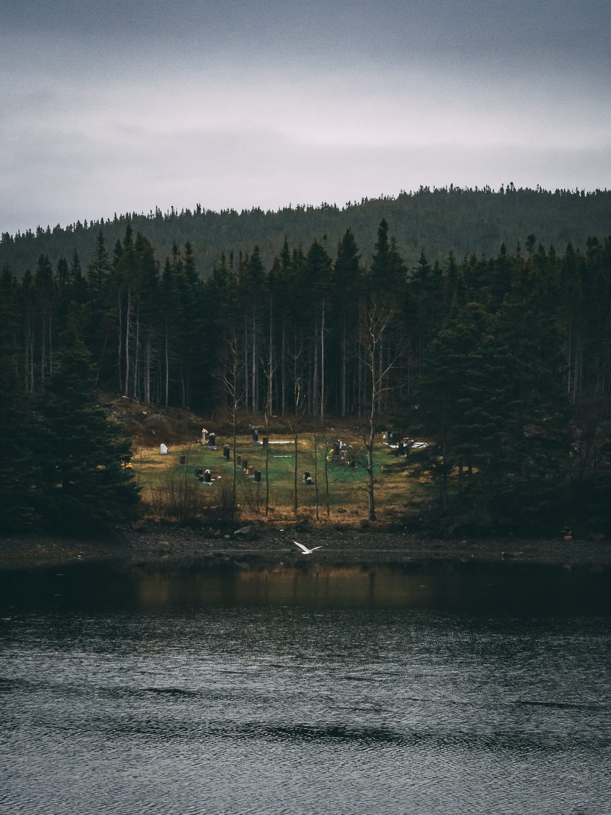 Photograph by Jp Valery