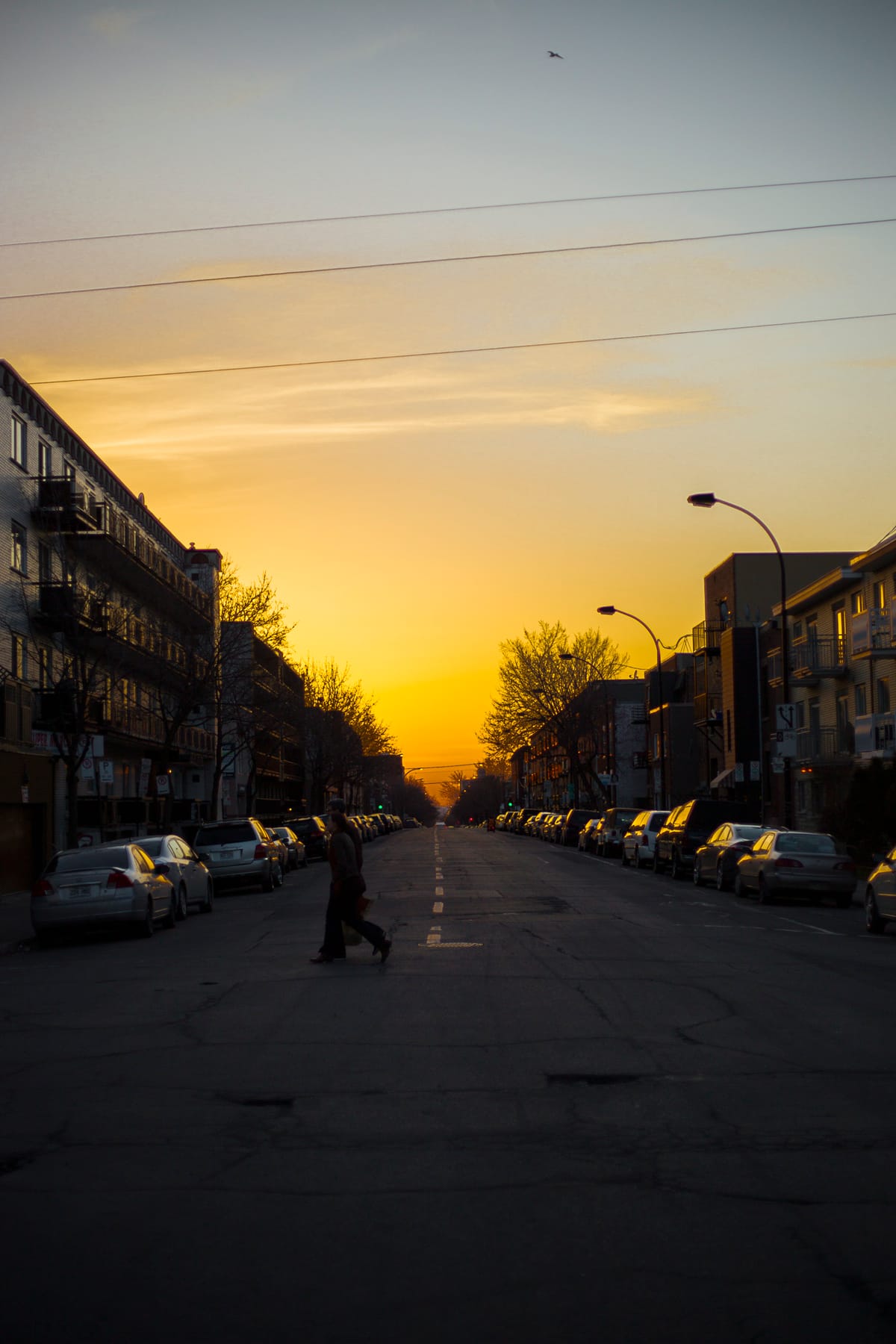 Photograph by Jp Valery in April 2015