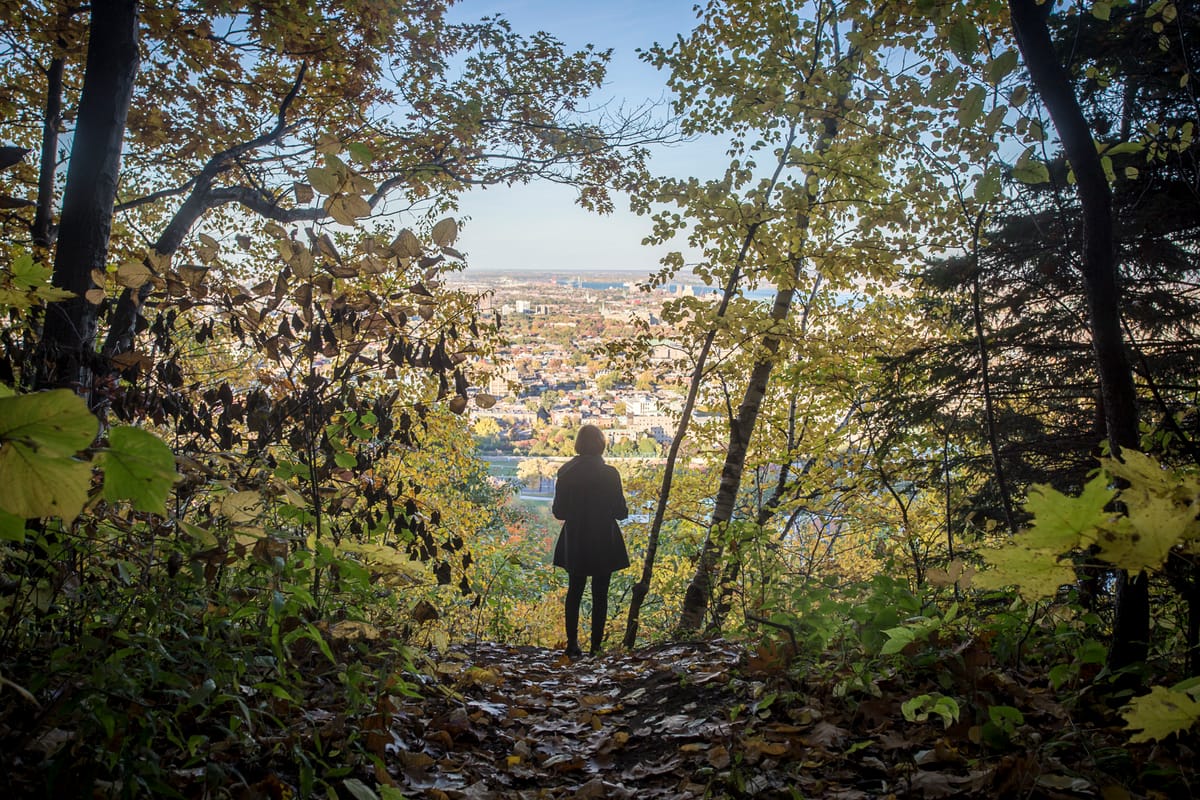 Photograph by Jp Valery in October 2016