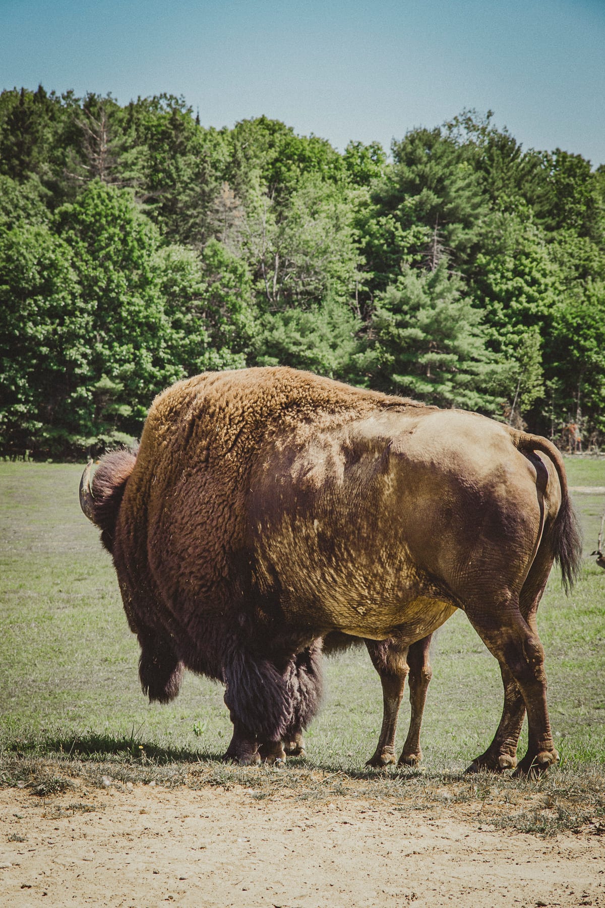 Photograph by Jp Valery in August 2019