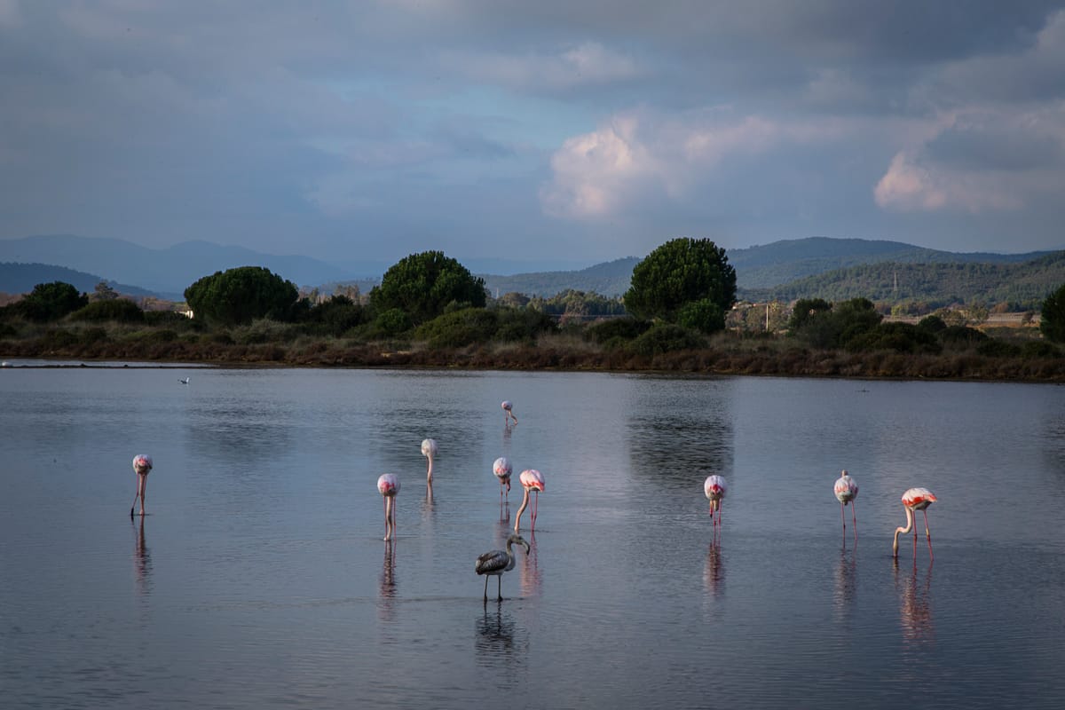 Photograph by Jp Valery in December 2015