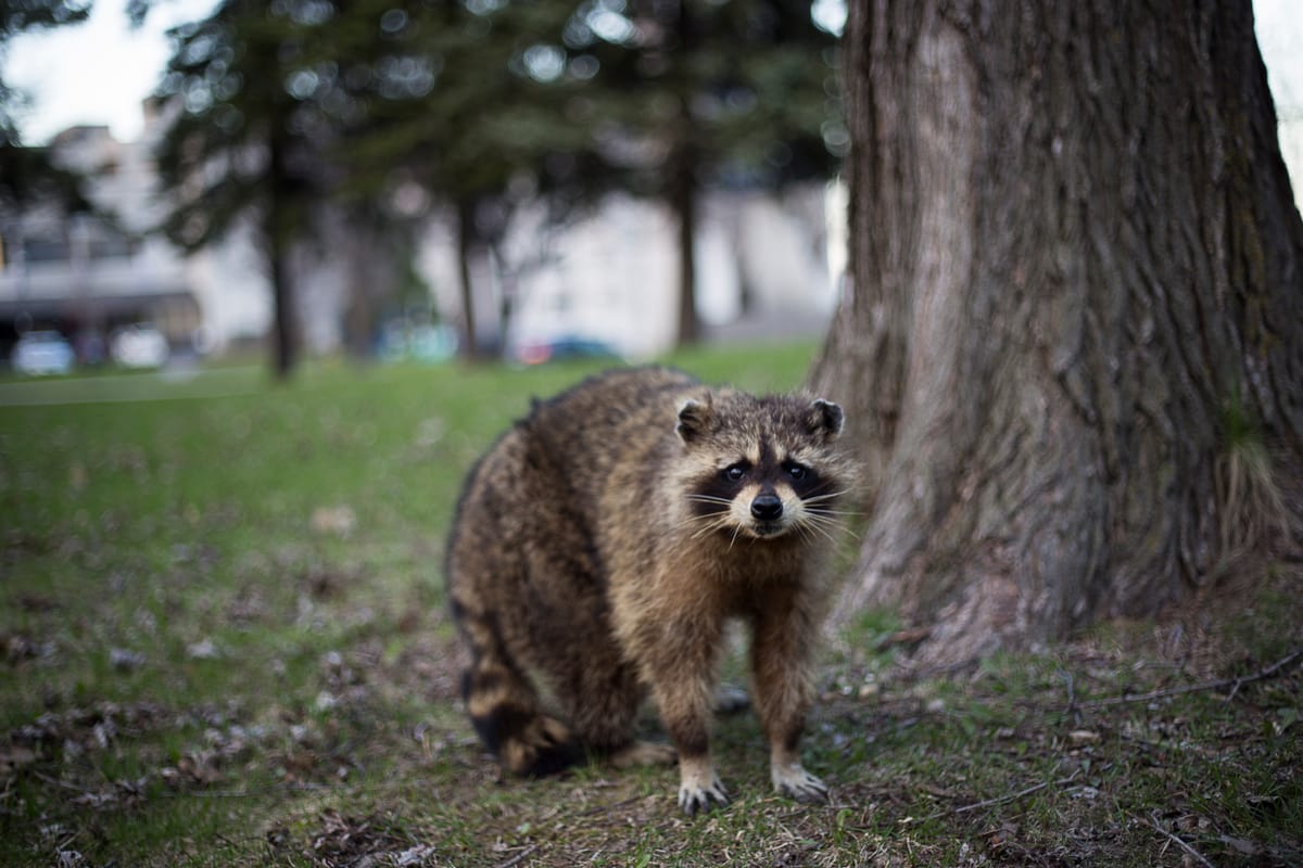 Photograph by Jp Valery in May 2015