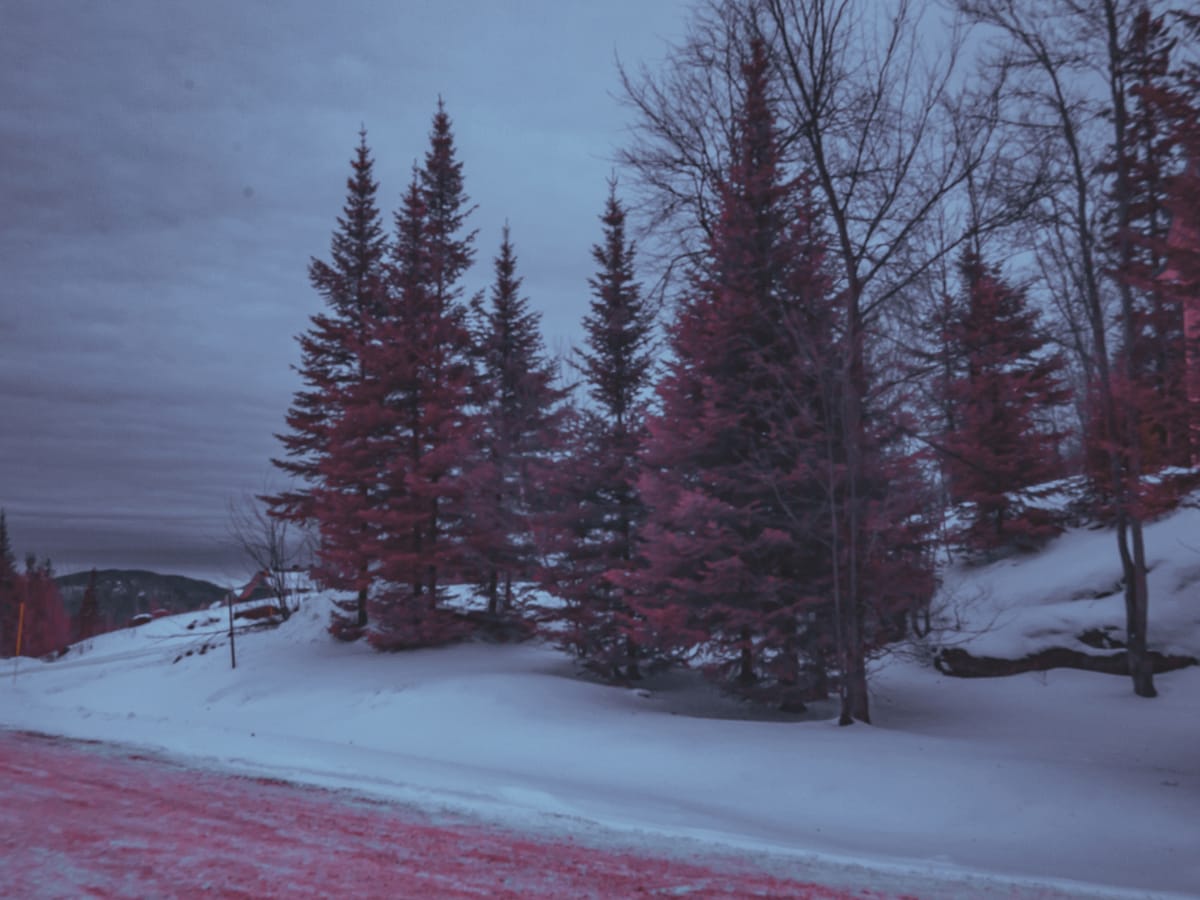 Photograph by Jp Valery in January 2018