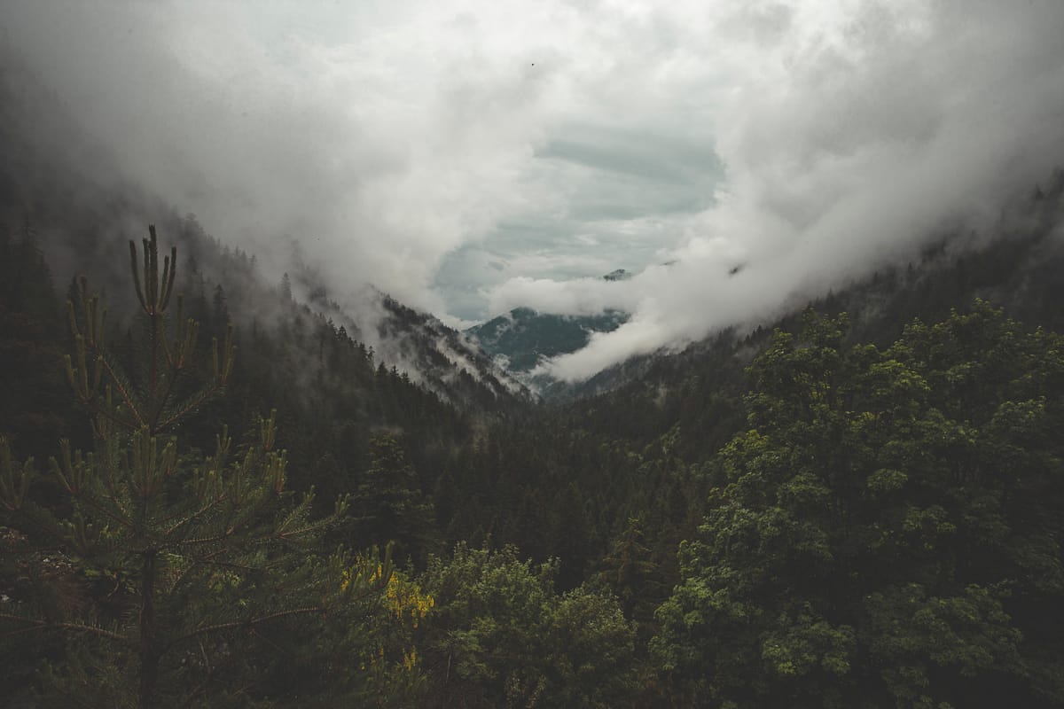 Photograph by Jp Valery in June 2018