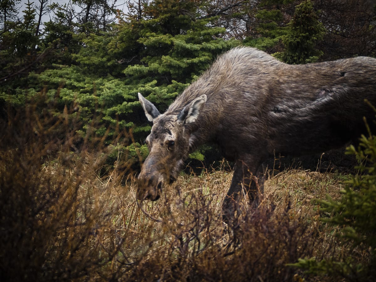Photograph by Jp Valery