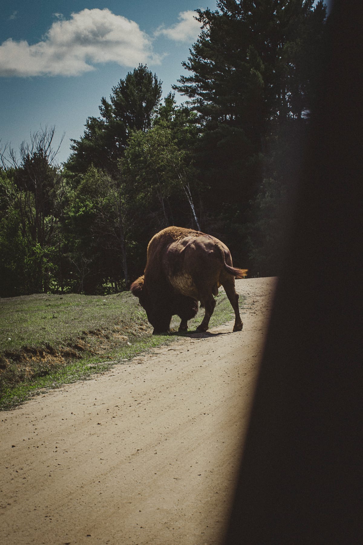 Photograph by Jp Valery in August 2019