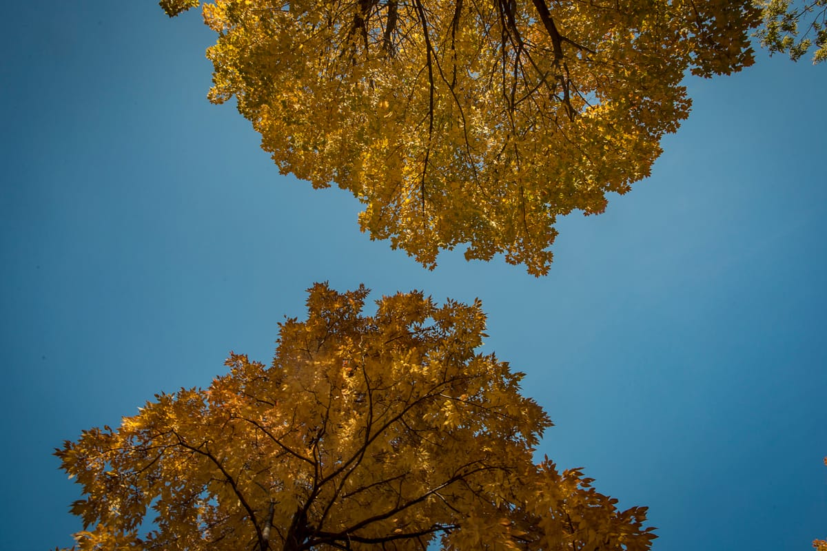 Photograph by Jp Valery in October 2016