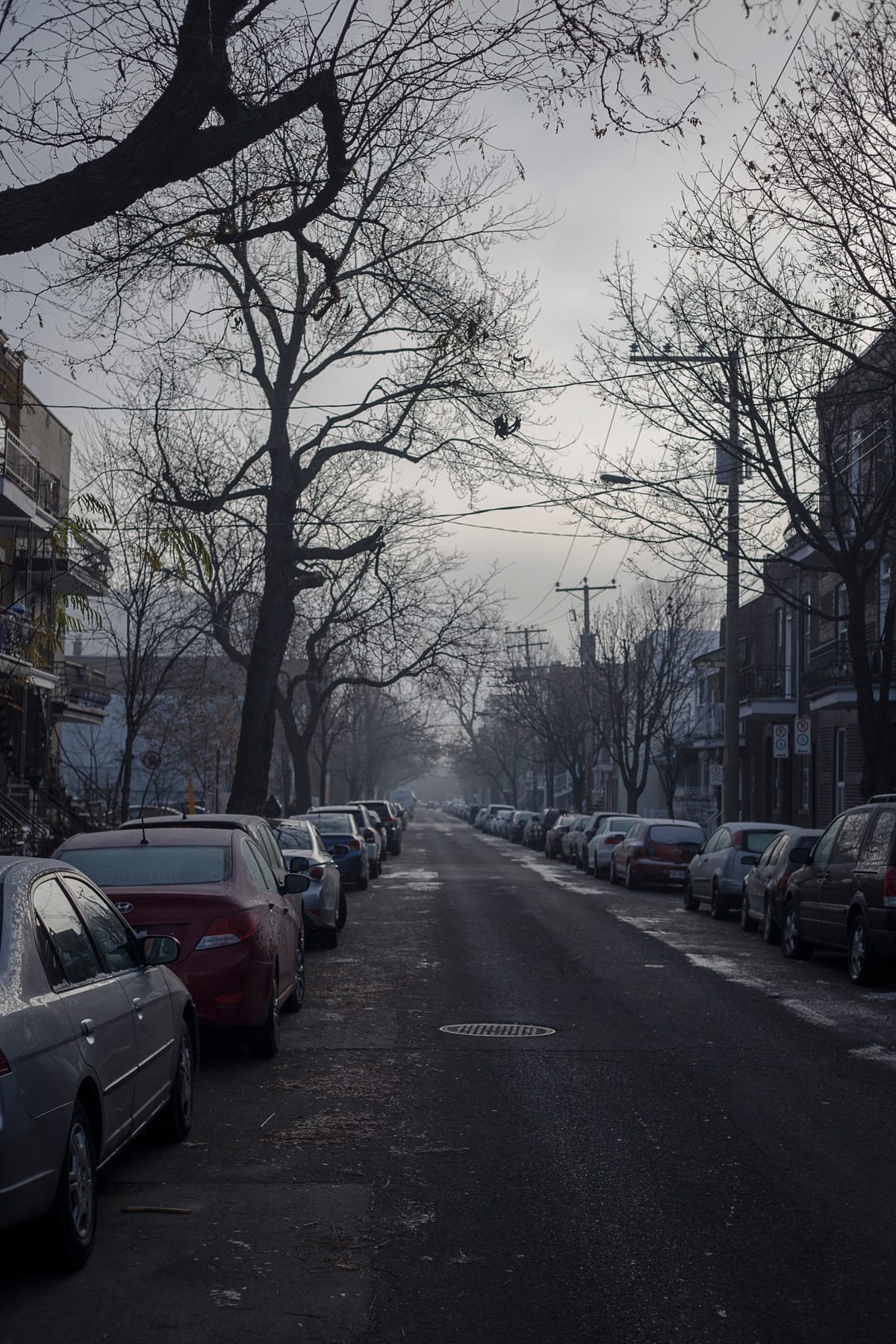 Photograph by Jp Valery in November 2015