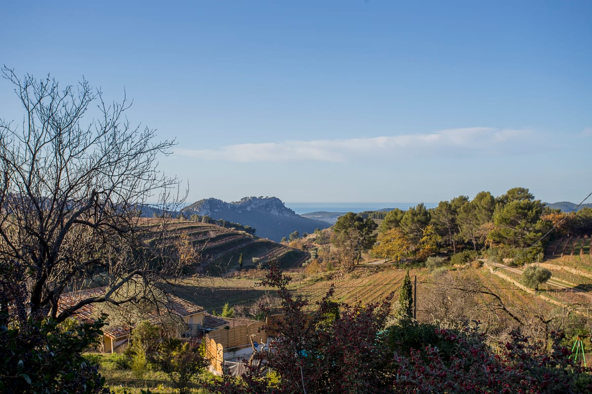 Photograph by Jp Valery in December 2016