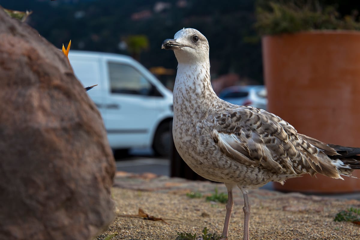 Photograph by Jp Valery in December 2015