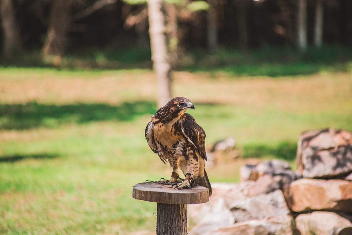 Photograph by Jp Valery in August 2019