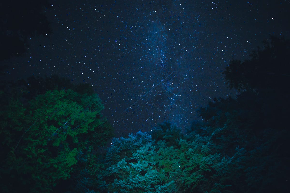 Photograph by Jp Valery in July 2017