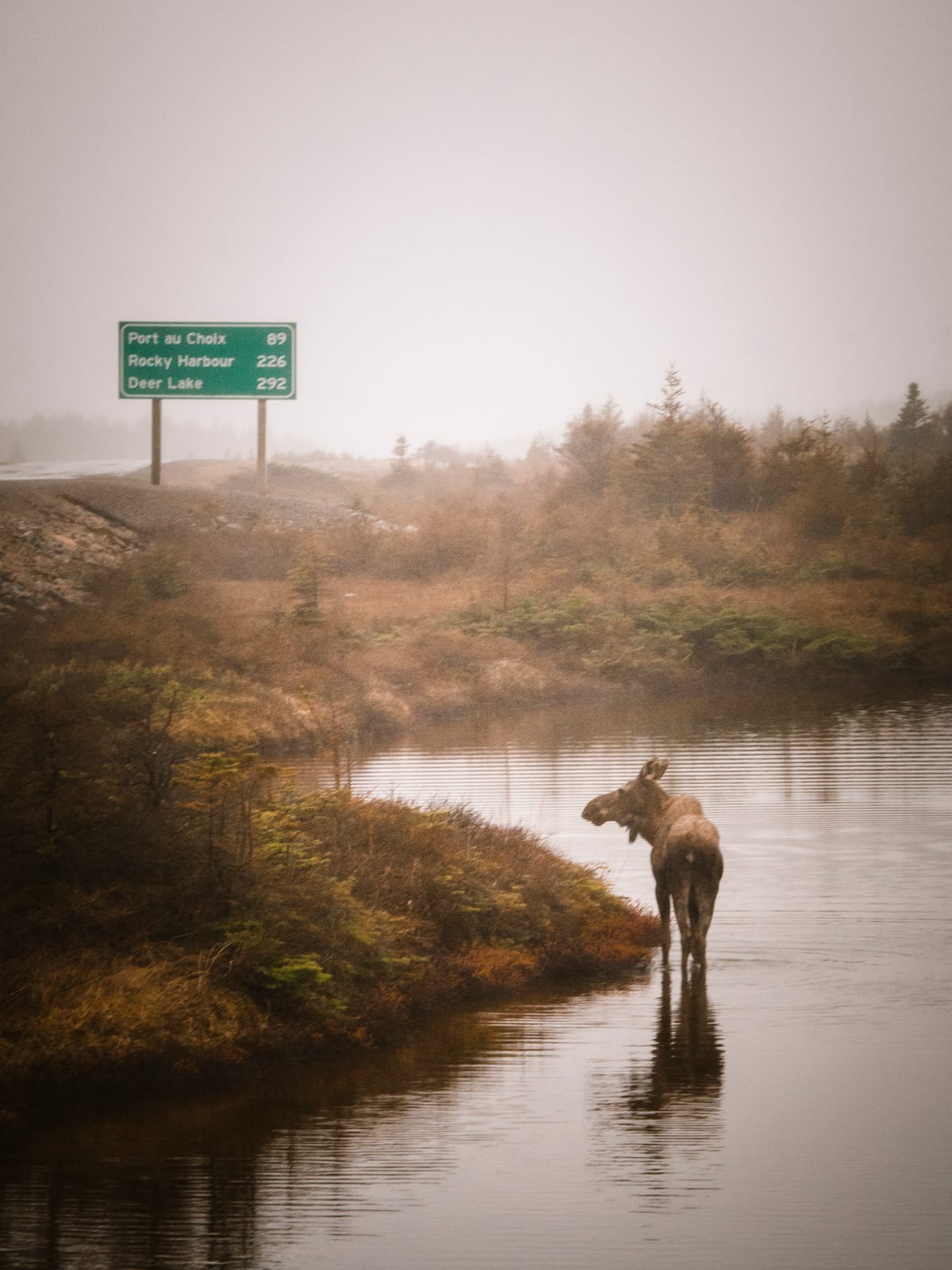 Photograph by Jp Valery in June 2019