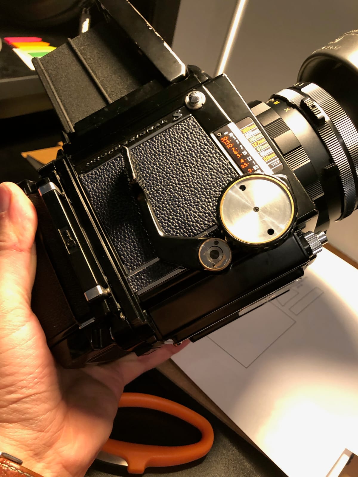 Photograph by Jp Valery in January 2019