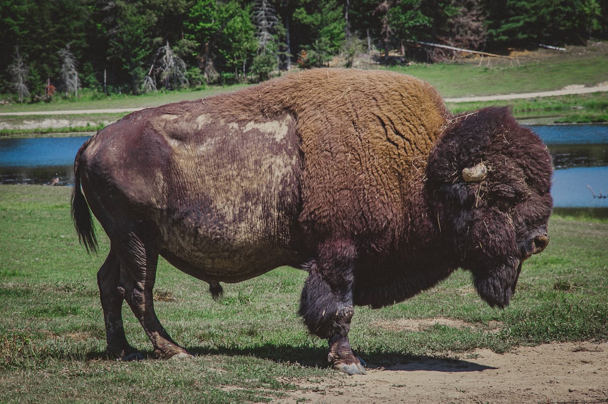 Photograph by Jp Valery in August 2019