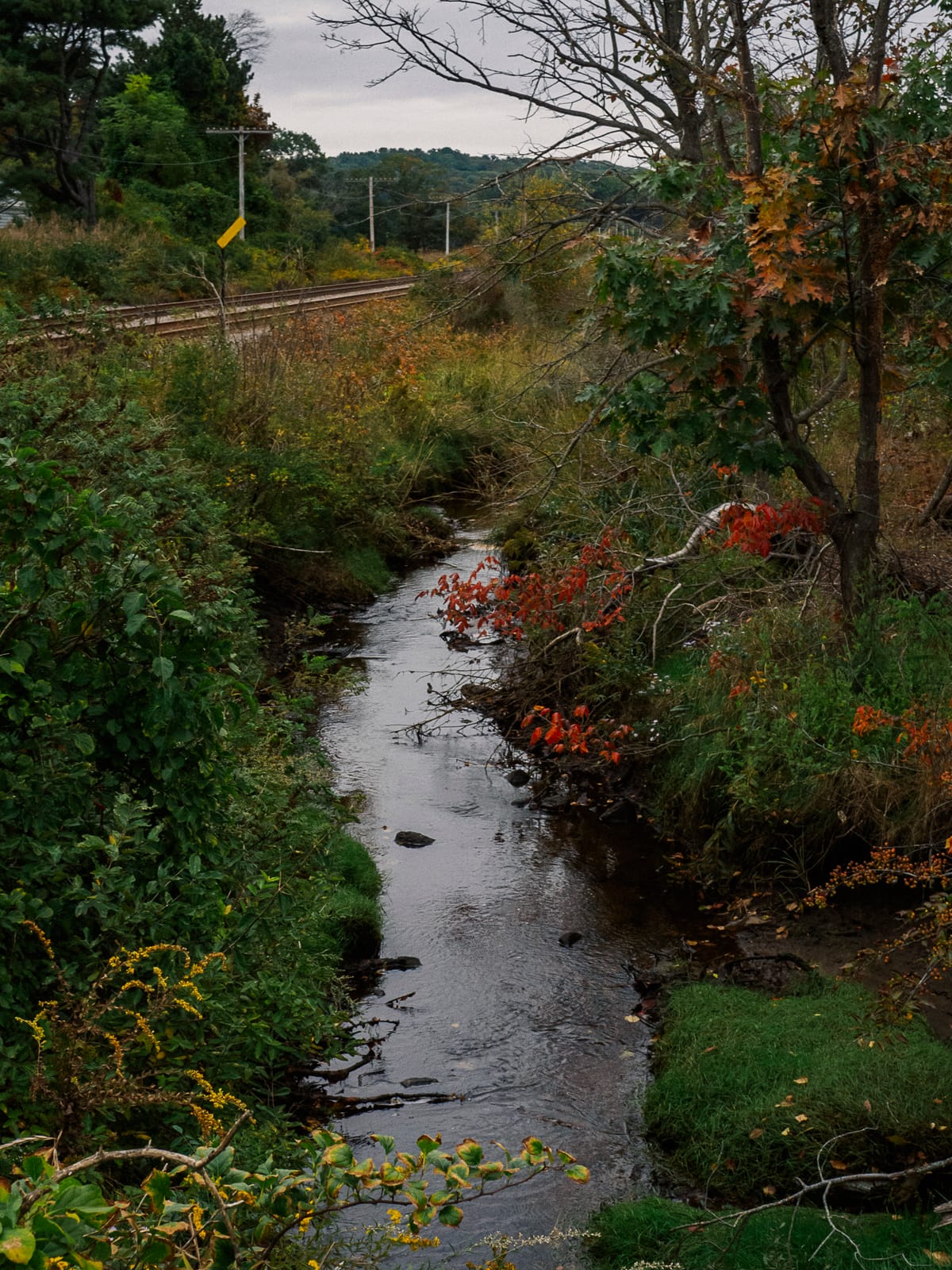 Photograph by Jp Valery in October 2018
