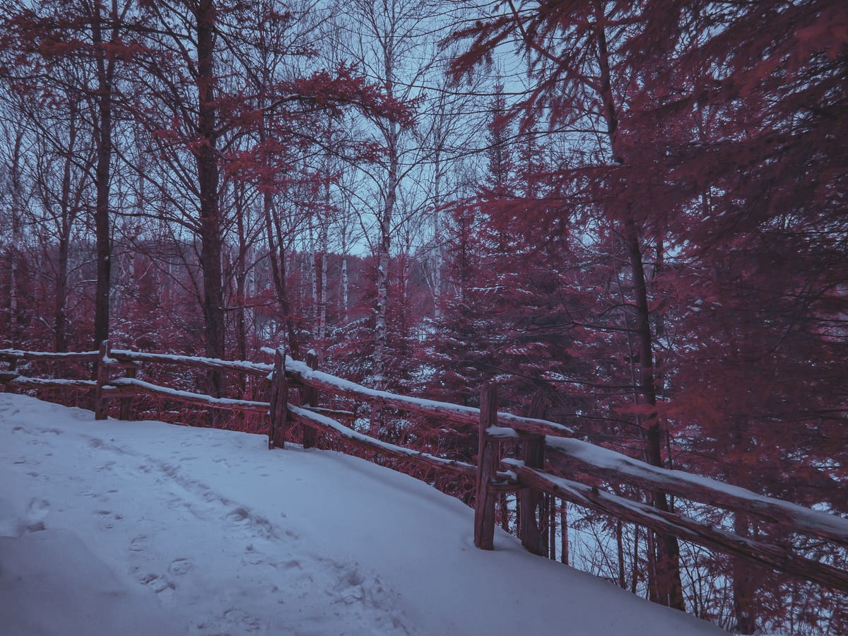 Photograph by Jp Valery in January 2018