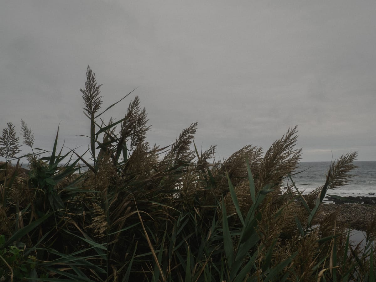 Photograph by Jp Valery in October 2018