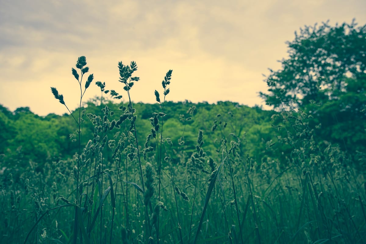Photograph by Jp Valery in May 2016