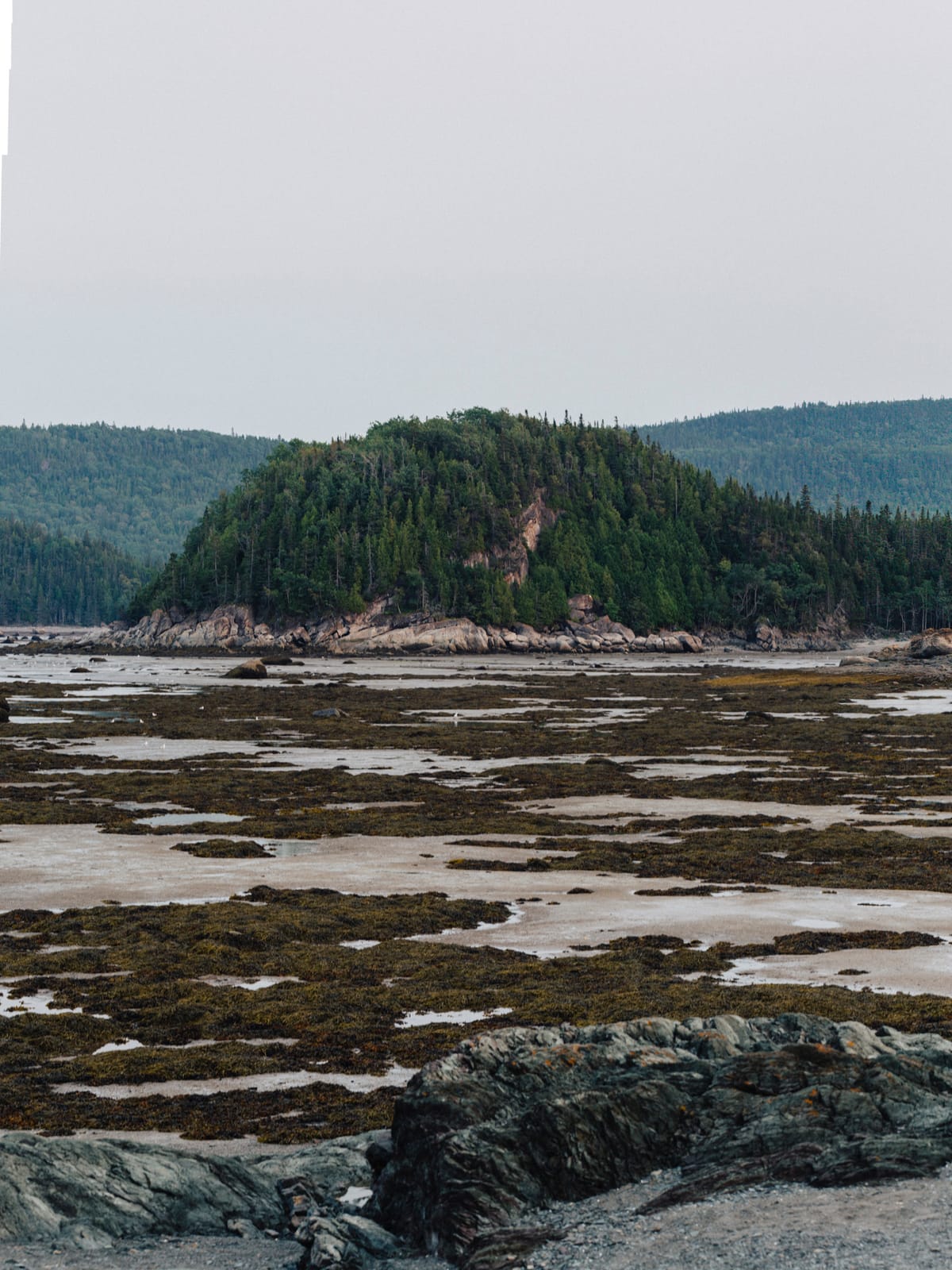 Photograph by Jp Valery in August 2021