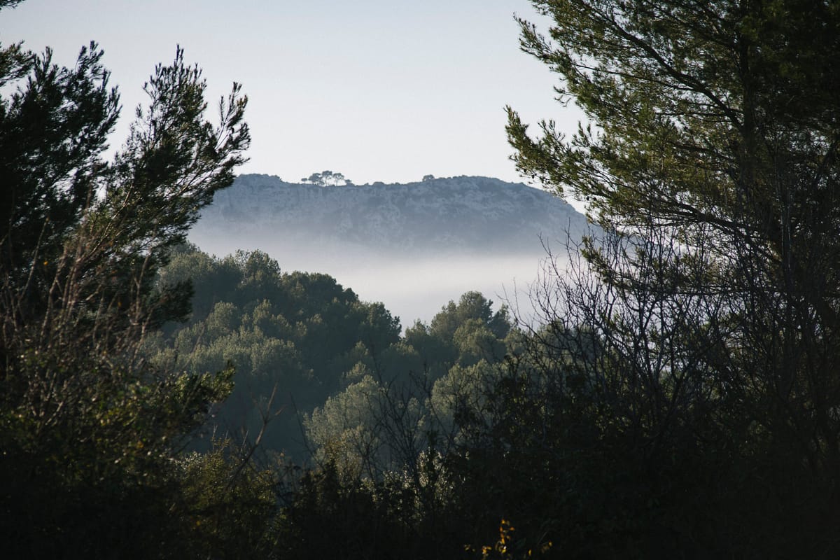 Photograph by Jp Valery in December 2016