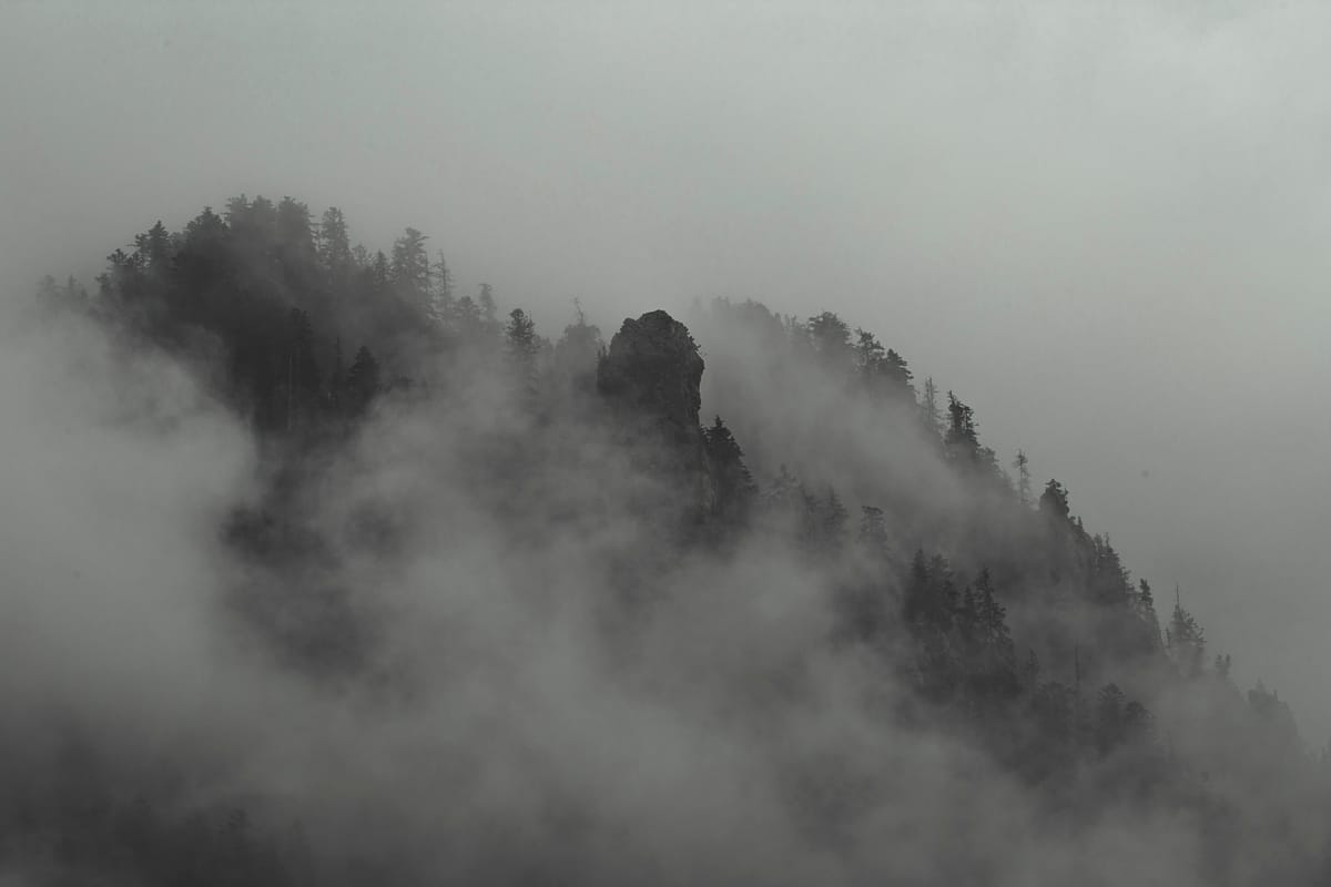 Photograph by Jp Valery in June 2018