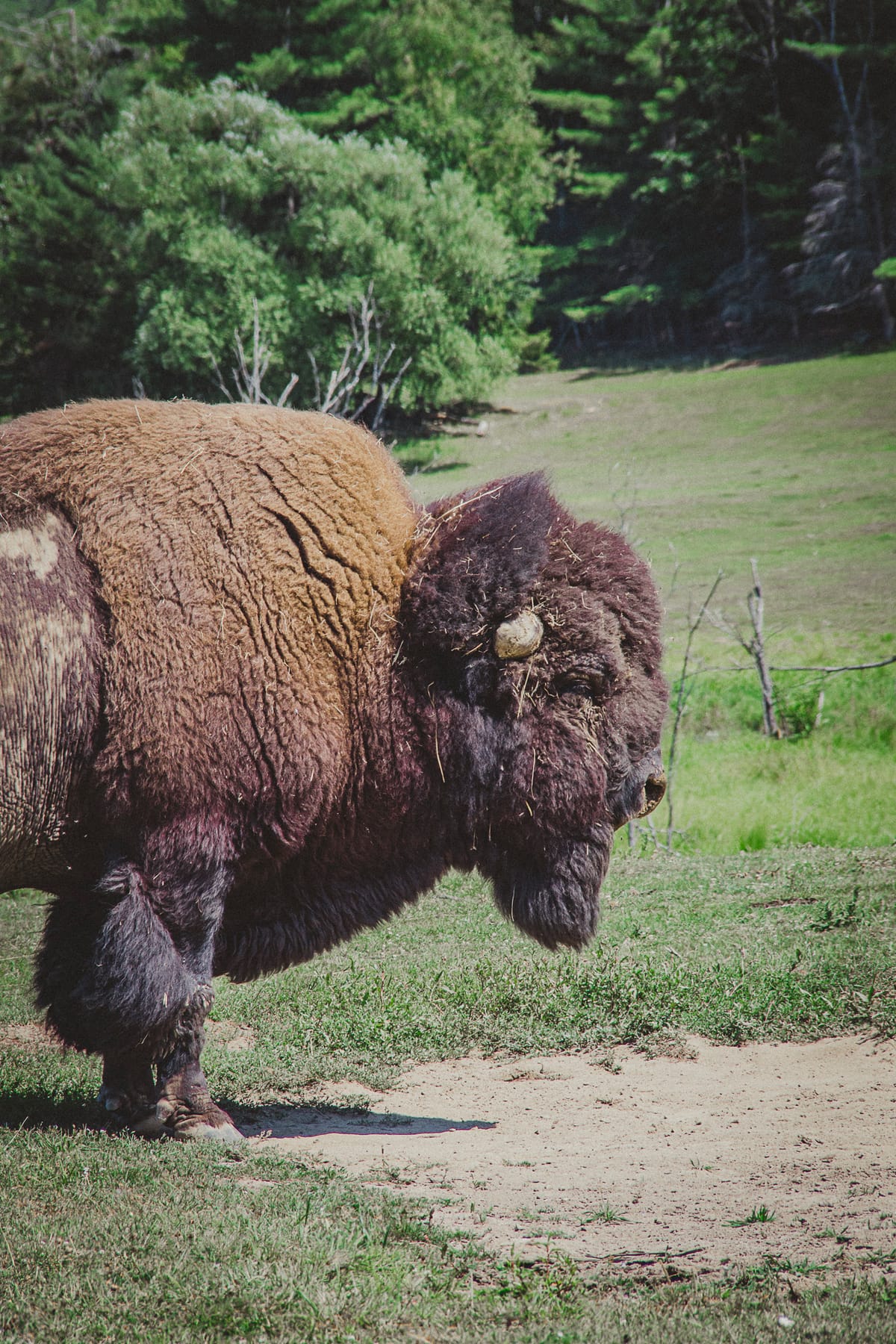 Photograph by Jp Valery in August 2019